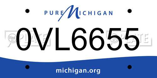 0VL6655 Michigan License Plate