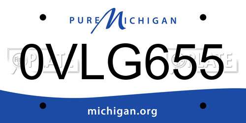 0VLG655 Michigan License Plate