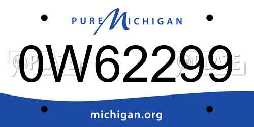 0W62299 Michigan License Plate