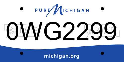 0WG2299 Michigan License Plate