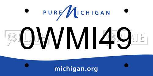 0WMI49 Michigan License Plate