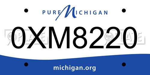 0XM8220 Michigan License Plate