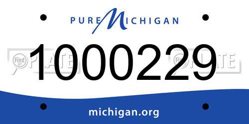 1000229 Michigan License Plate