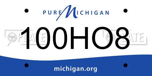 100HO8 Michigan License Plate