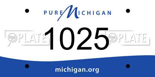 1025 Michigan License Plate