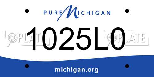 1025L0 Michigan License Plate