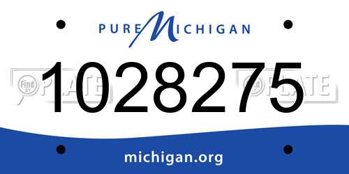 1028275 Michigan License Plate