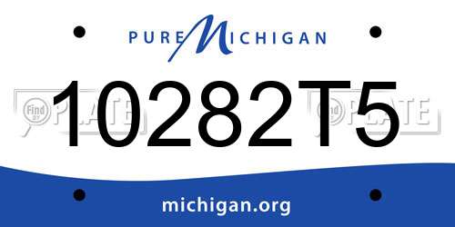 10282T5 Michigan License Plate
