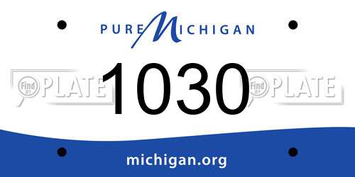 1030 Michigan License Plate