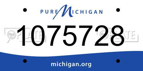 1075728 Michigan License Plate