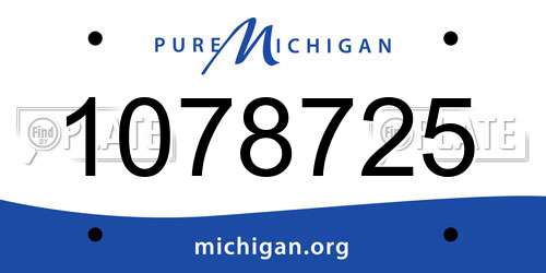 1078725 Michigan License Plate