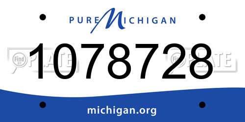 1078728 Michigan License Plate