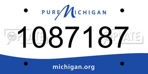 1087187 Michigan License Plate