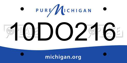 10DO216 Michigan License Plate