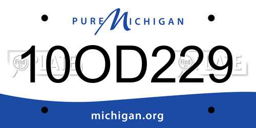 10OD229 Michigan License Plate