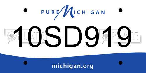 10SD919 Michigan License Plate