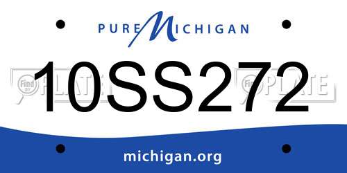 10SS272 Michigan License Plate
