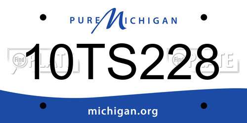 10TS228 Michigan License Plate