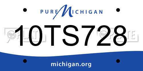 10TS728 Michigan License Plate