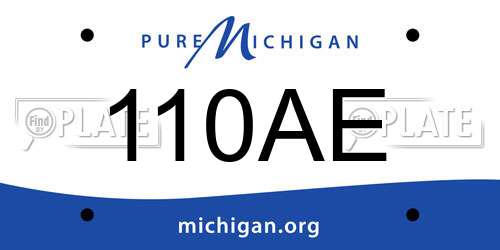 110AE Michigan License Plate