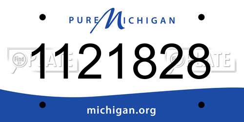 1121828 Michigan License Plate