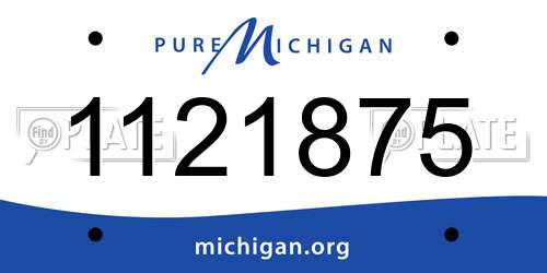1121875 Michigan License Plate
