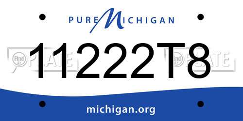 11222T8 Michigan License Plate