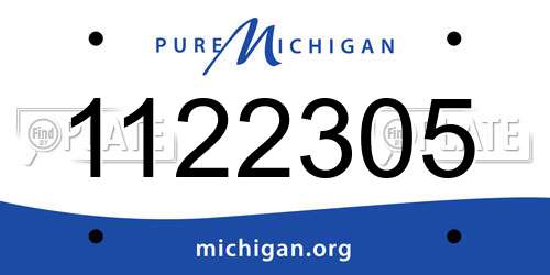 1122305 Michigan License Plate
