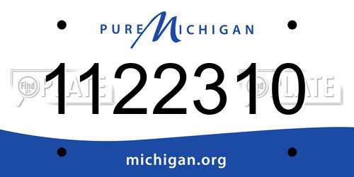 1122310 Michigan License Plate
