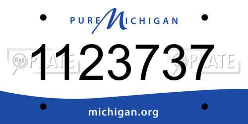 1123737 Michigan License Plate