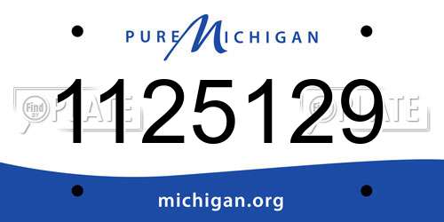 1125129 Michigan License Plate