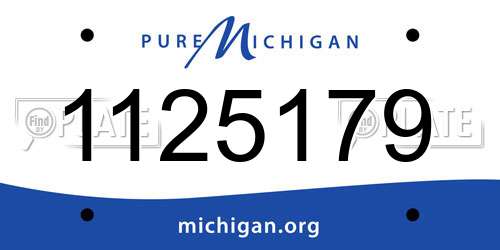 1125179 Michigan License Plate