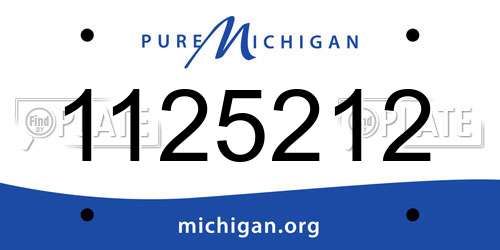 1125212 Michigan License Plate