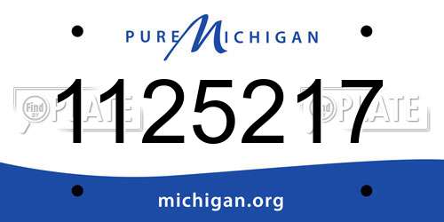 1125217 Michigan License Plate