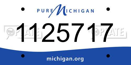 1125717 Michigan License Plate