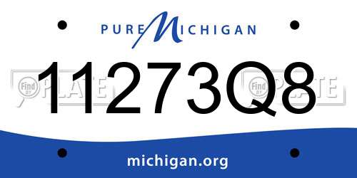 11273Q8 Michigan License Plate
