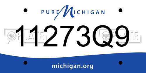11273Q9 Michigan License Plate