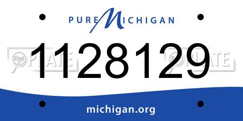 1128129 Michigan License Plate