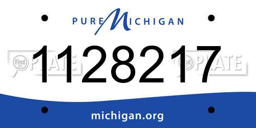 1128217 Michigan License Plate