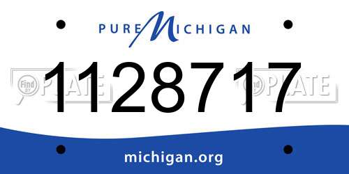 1128717 Michigan License Plate