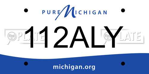 112ALY Michigan License Plate