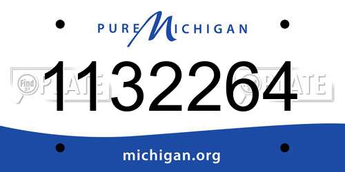 1132264 Michigan License Plate