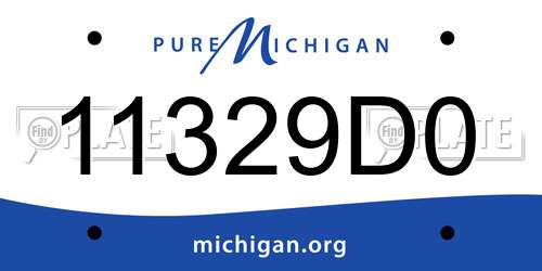11329D0 Michigan License Plate
