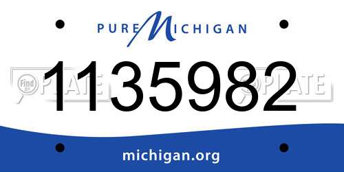1135982 Michigan License Plate