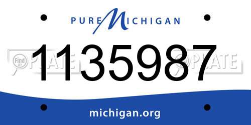 1135987 Michigan License Plate