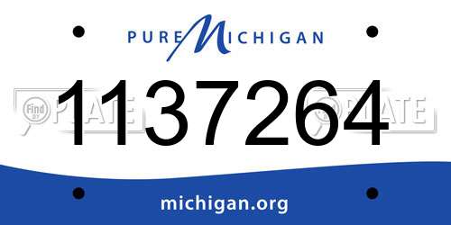 1137264 Michigan License Plate