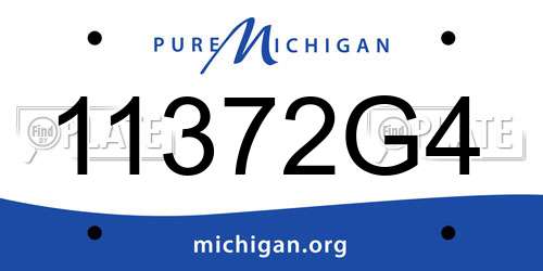11372G4 Michigan License Plate