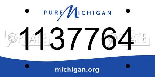 1137764 Michigan License Plate