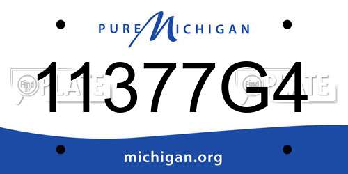 11377G4 Michigan License Plate