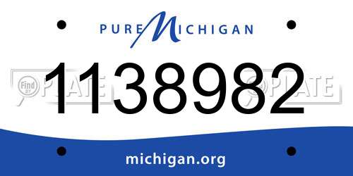1138982 Michigan License Plate